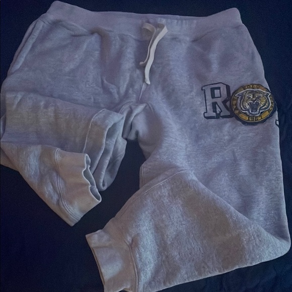 Gray Hoodie with Tiger Emblem - Picture 2 of 2